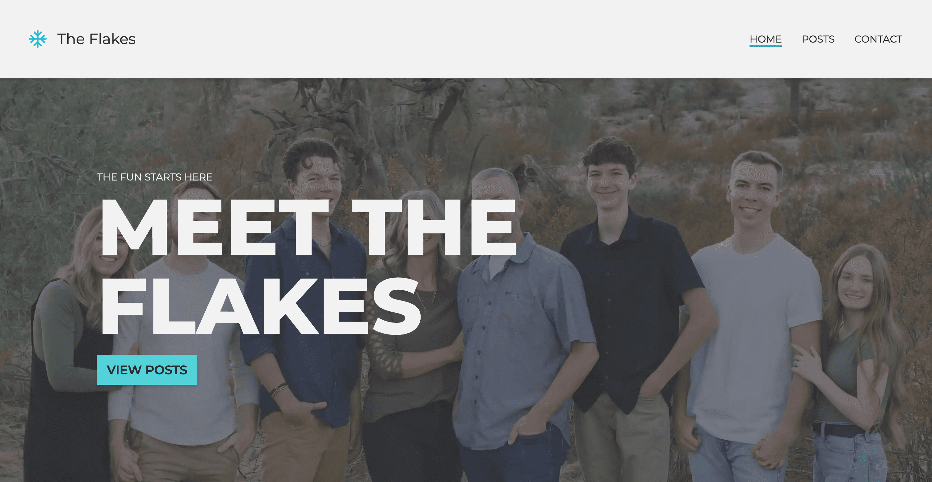 Thumbanil of the Flake Family project